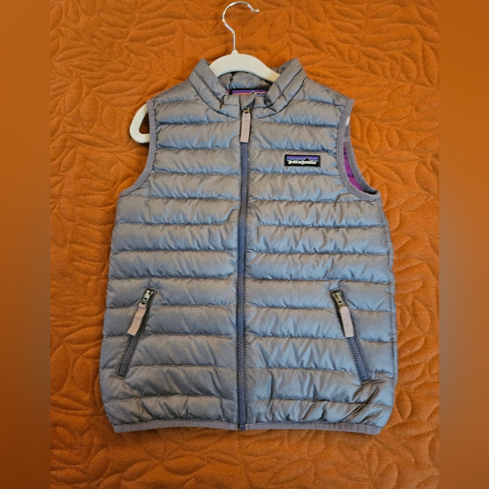 Patagonia Vest